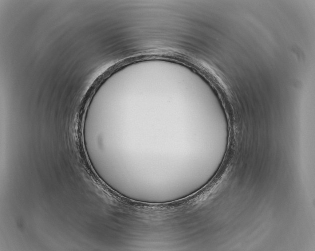 X0000112740875200908201033