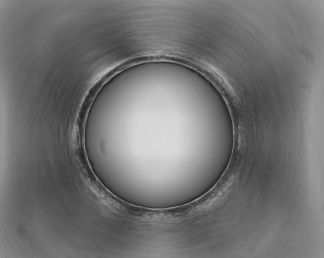 X0000112740876200908201033