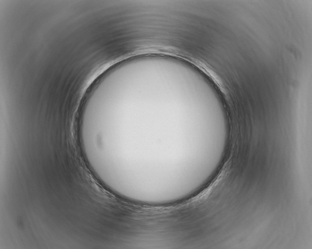 X0000112740877200908201033