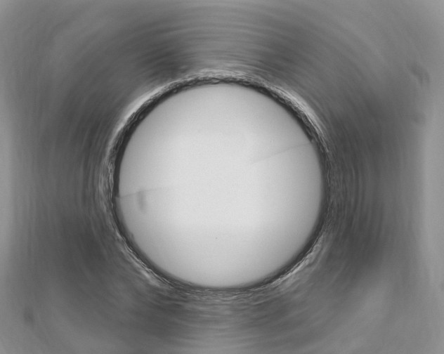 X0000112740878200908201033