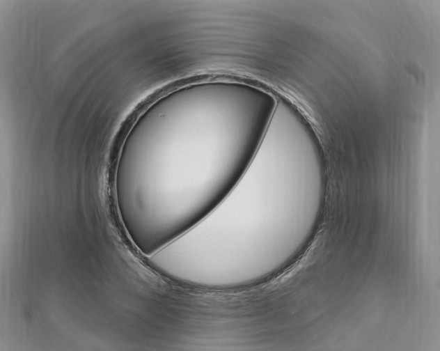 X0000112740880200908201033