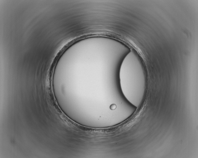 X0000112740883200908201033
