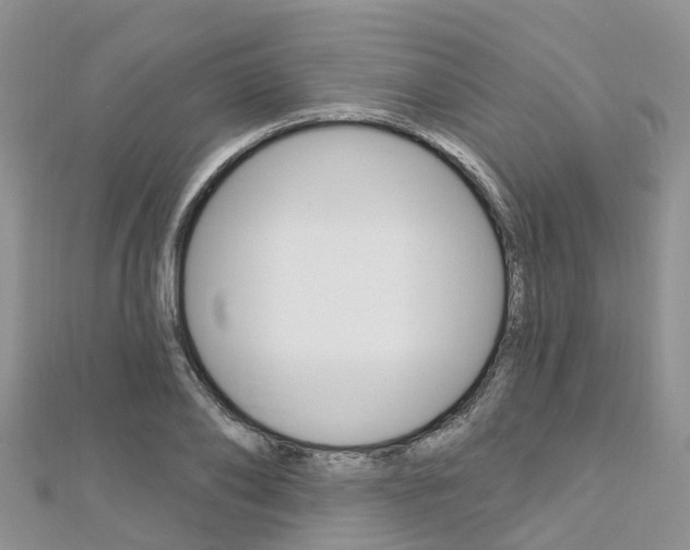 X0000112740886200908201033