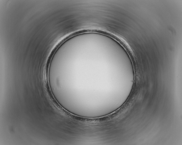 X0000112740887200908201033