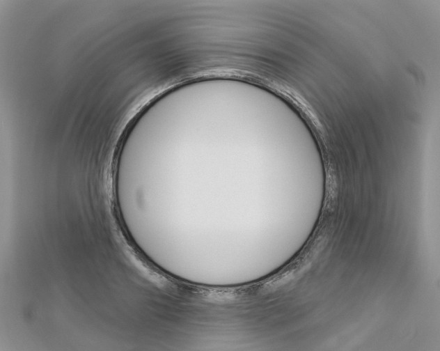 X0000112740890200908201033