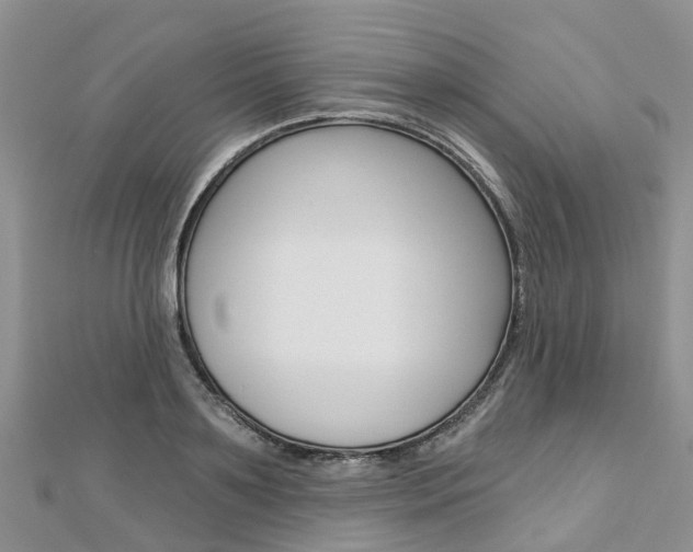 X0000112740891200908201033