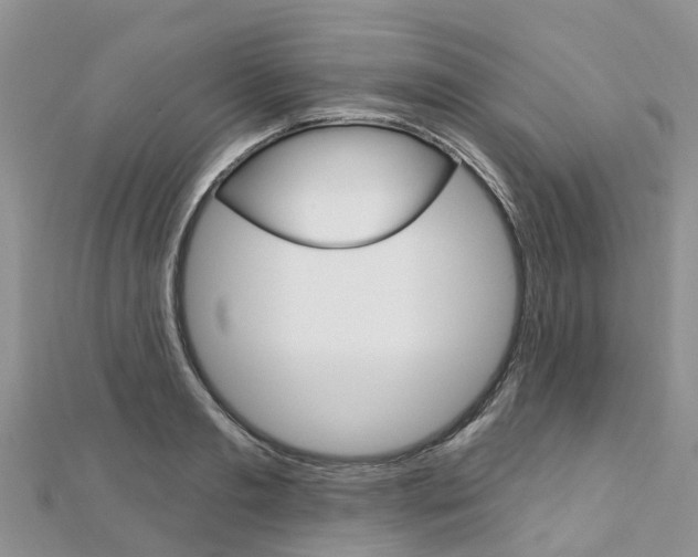 X0000112740893200908201032