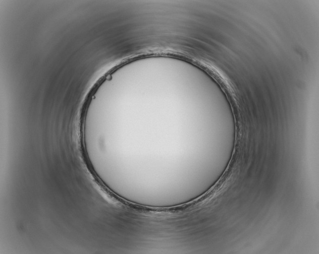 X0000112740894200908201032