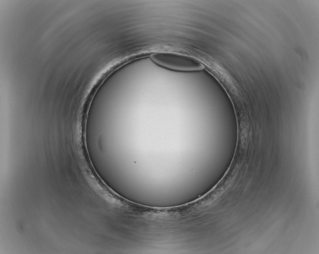 X0000112740896200908201032