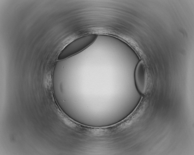 X0000112740897200908201032