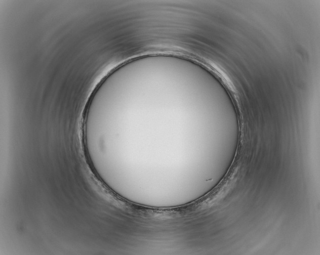 X0000112740899200908201032