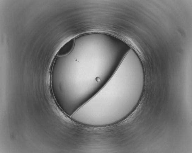 X0000112740900200908201032