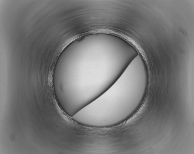X0000112740905200908201032