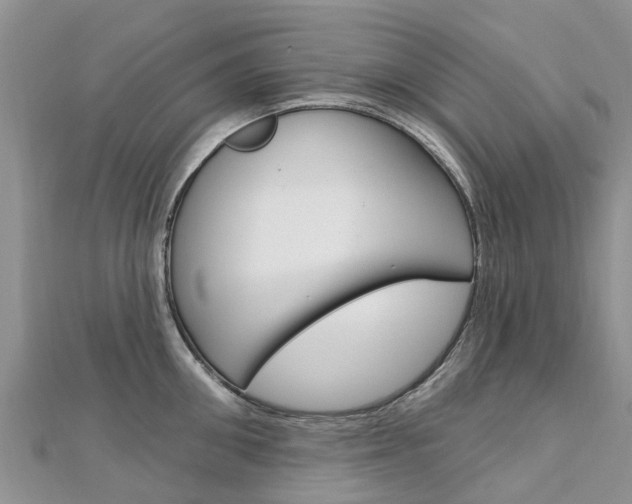X0000112740906200908201032