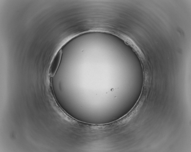 X0000112740908200908201032