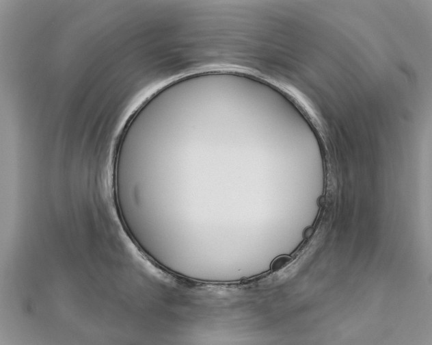 X0000112740910200908201032