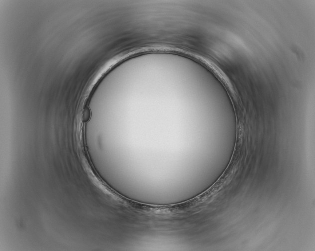 X0000112740911200908201032