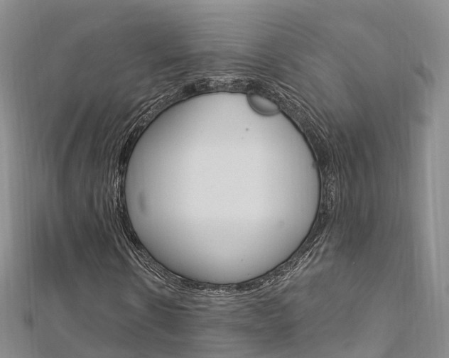 X0000112740914200908201031