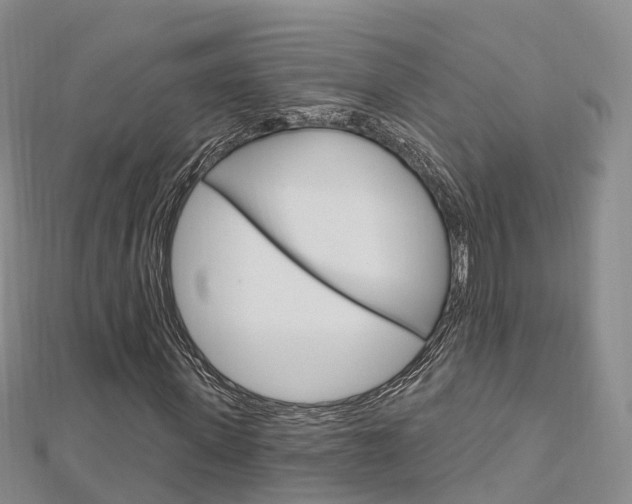 X0000112740915200908201031