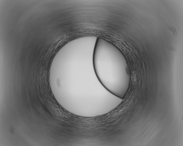 X0000112740916200908201031