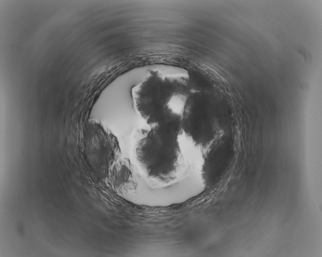 X0000112740917200908201032