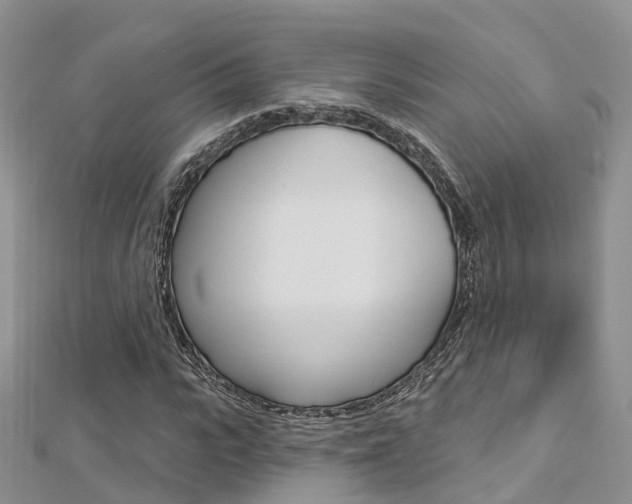 X0000112740919200908201032