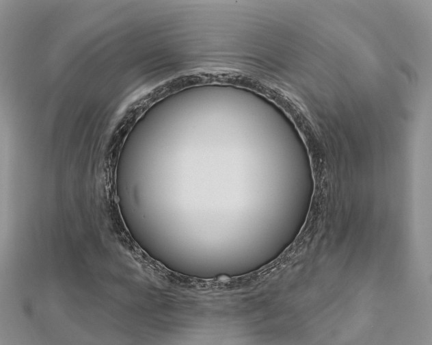 X0000112740920200908201032
