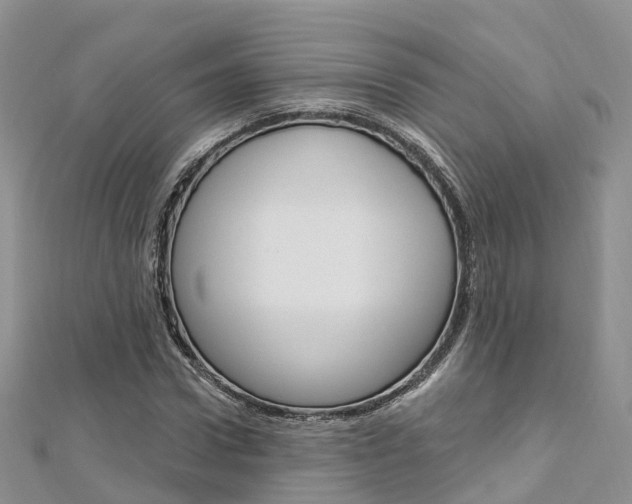 X0000112740922200908201032