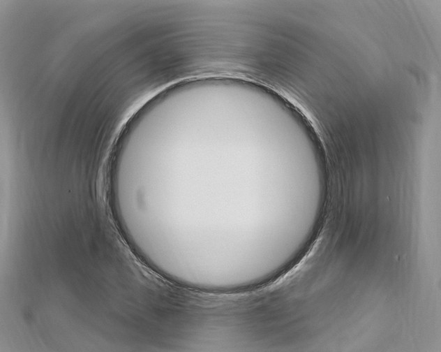 X0000112740925200908201032
