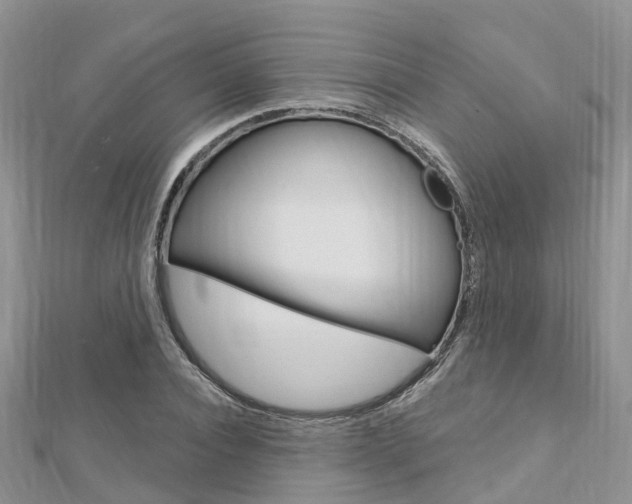 X0000112740928200908201032
