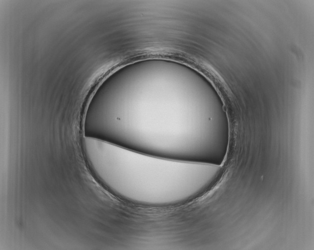 X0000112740930200908201032
