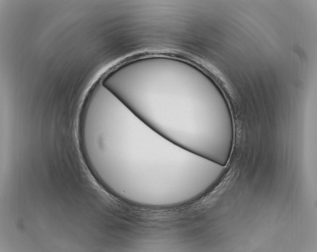 X0000112740935200908201032