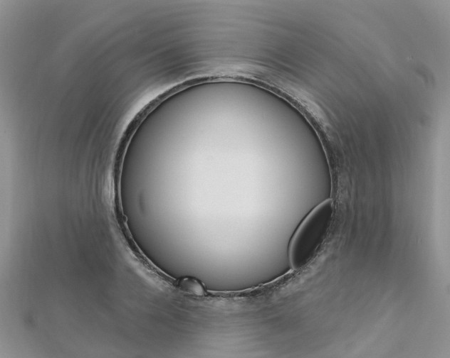 X0000112740936200908201032