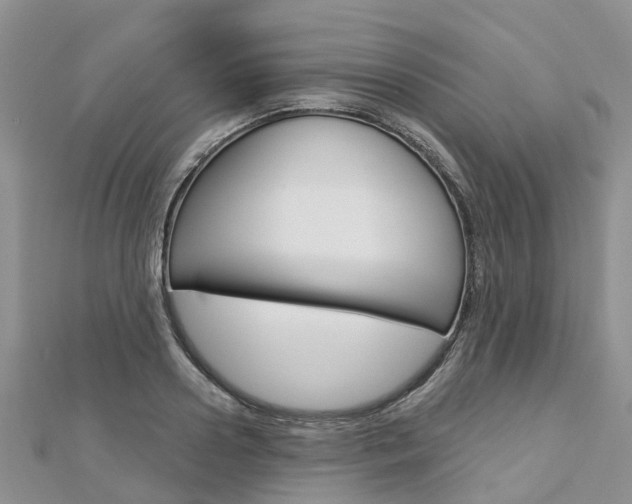 X0000112740938200908201032