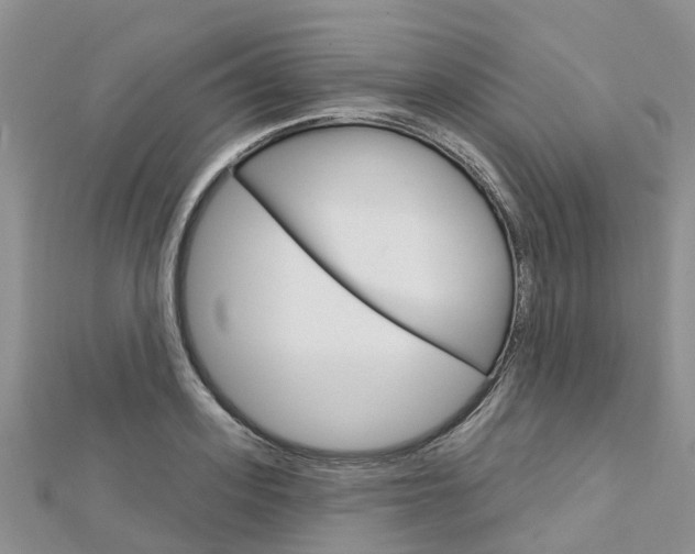 X0000112740939200908201032