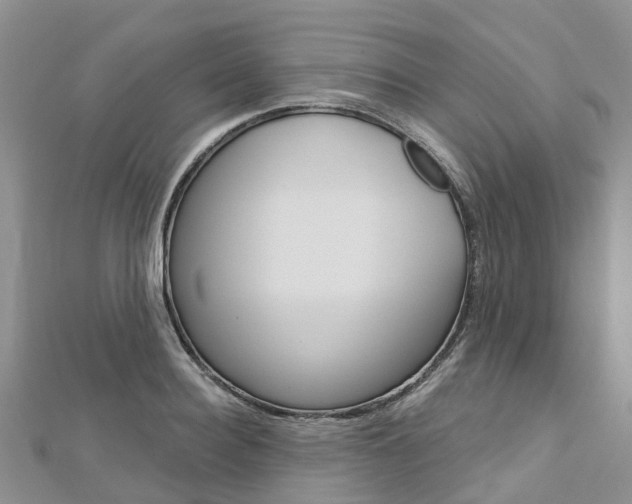 X0000112740940200908201032