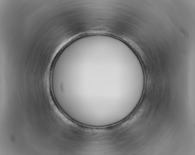 X0000112740941200908201032