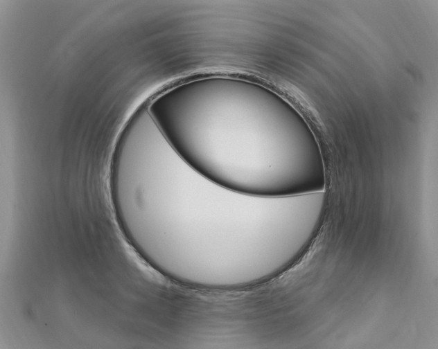 X0000112740942200908201032