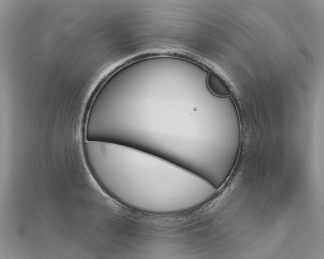 X0000112740943200908201032