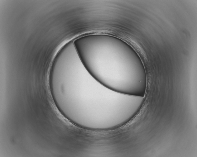 X0000112740944200908201032