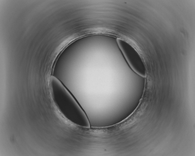 X0000112740946200908201032