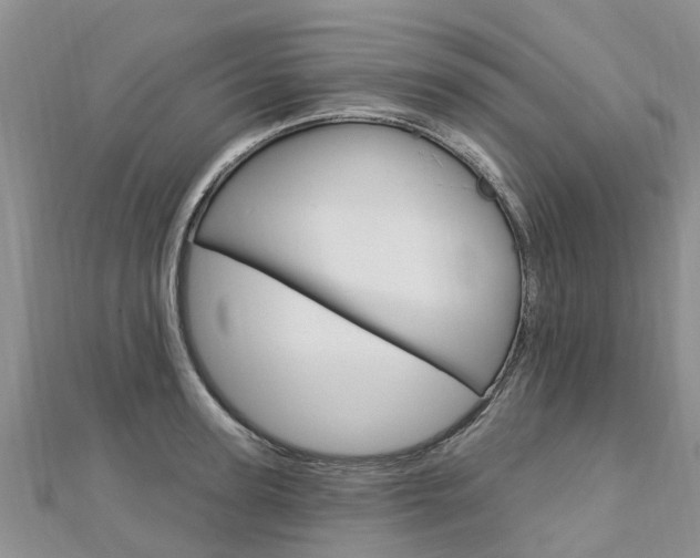 X0000112740947200908201032