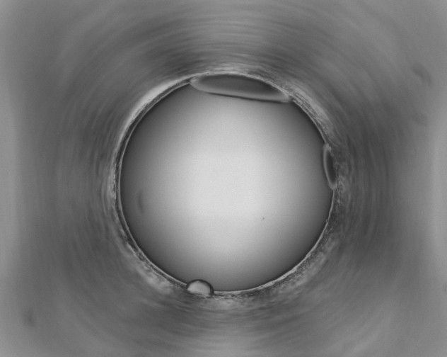 X0000112740948200908201032
