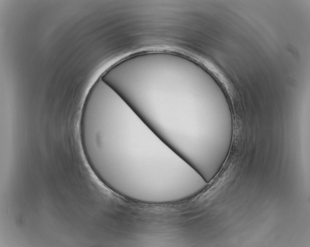 X0000112740951200908201032