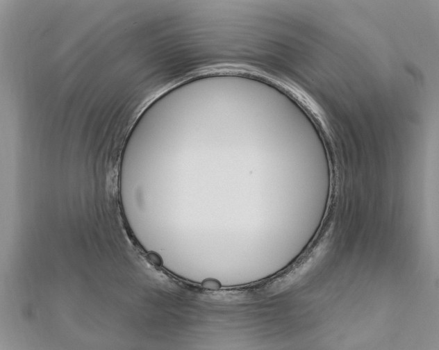 X0000112740953200908201032