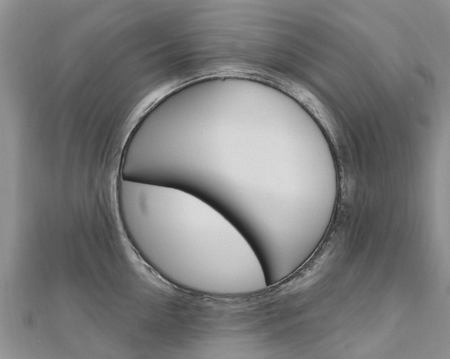X0000112740954200908201032