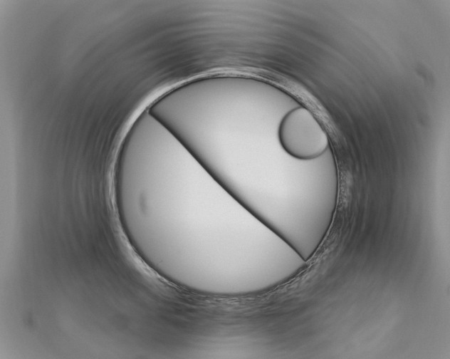 X0000112740955200908201032