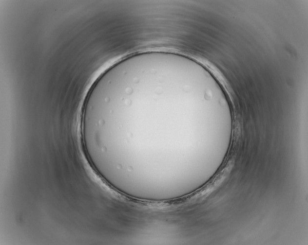 X0000112740957200908201032