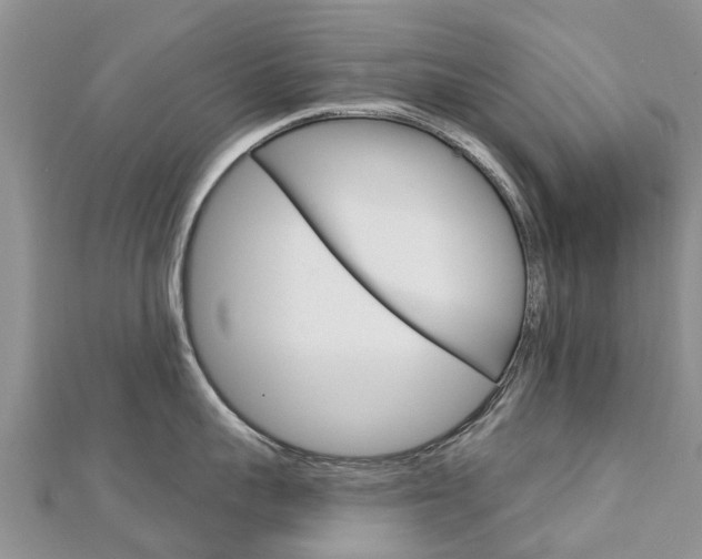X0000112740959200908201032