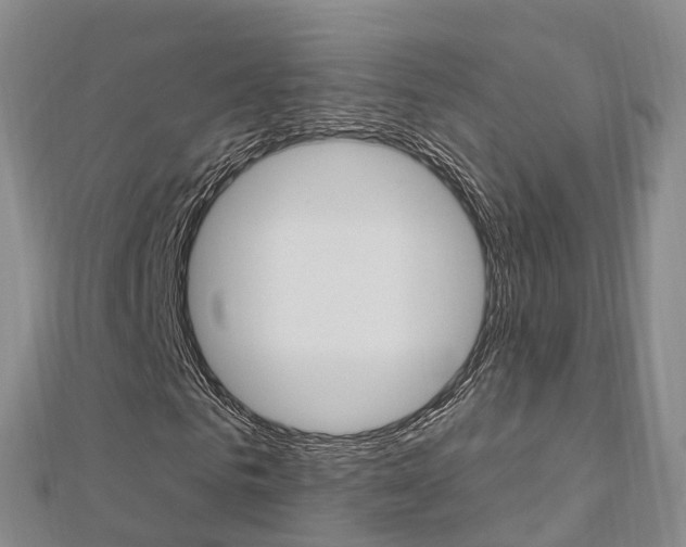 X0000112740961200908201031